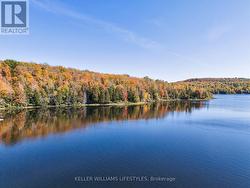 Shoreline facing south -