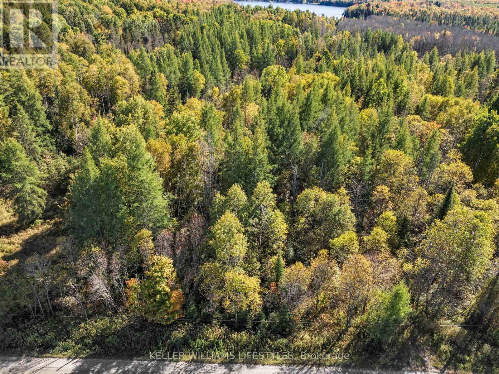 Potential building lot off Alsace Road - 0 Balsam Lane, Nipissing, ON