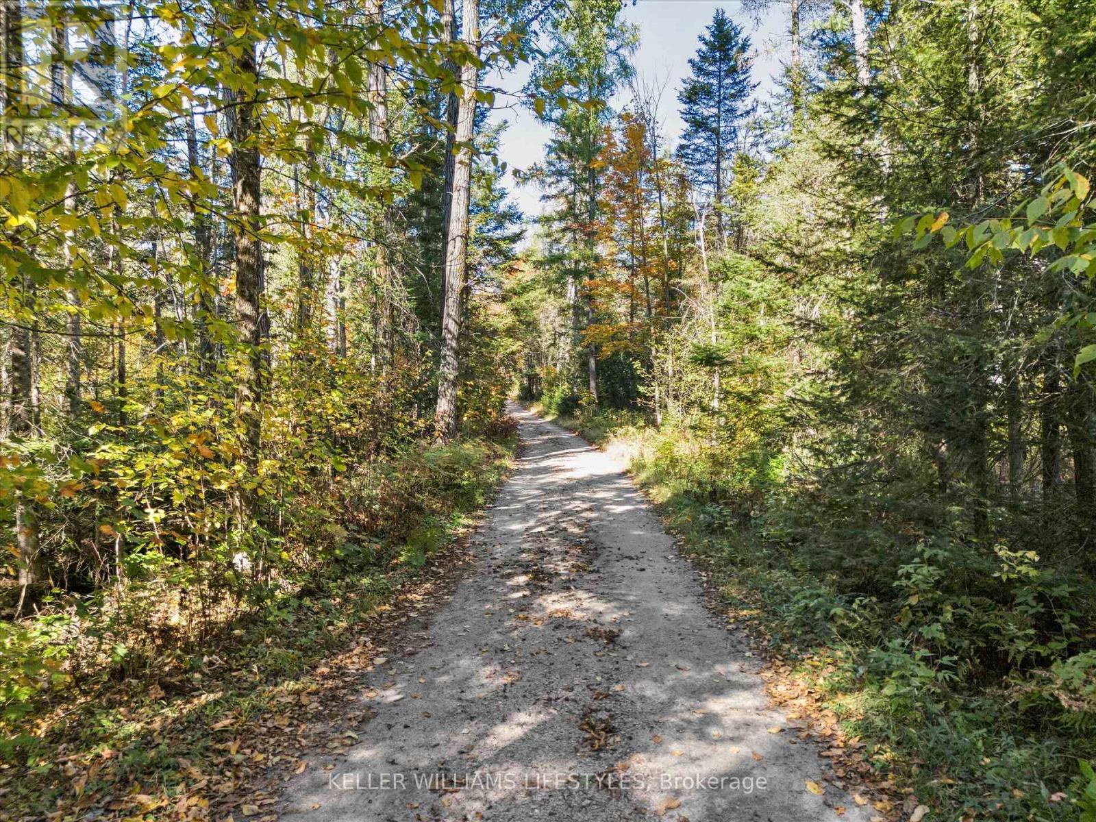 Owned section of Balsam Lane - 0 Balsam Lane, Nipissing, ON