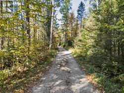 Owned section of Balsam Lane -