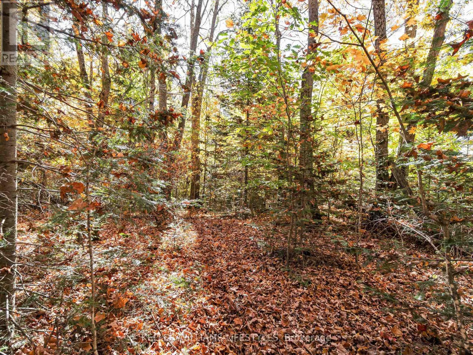 0 Balsam Lane, Nipissing, ON