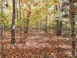 Building lot near lake -