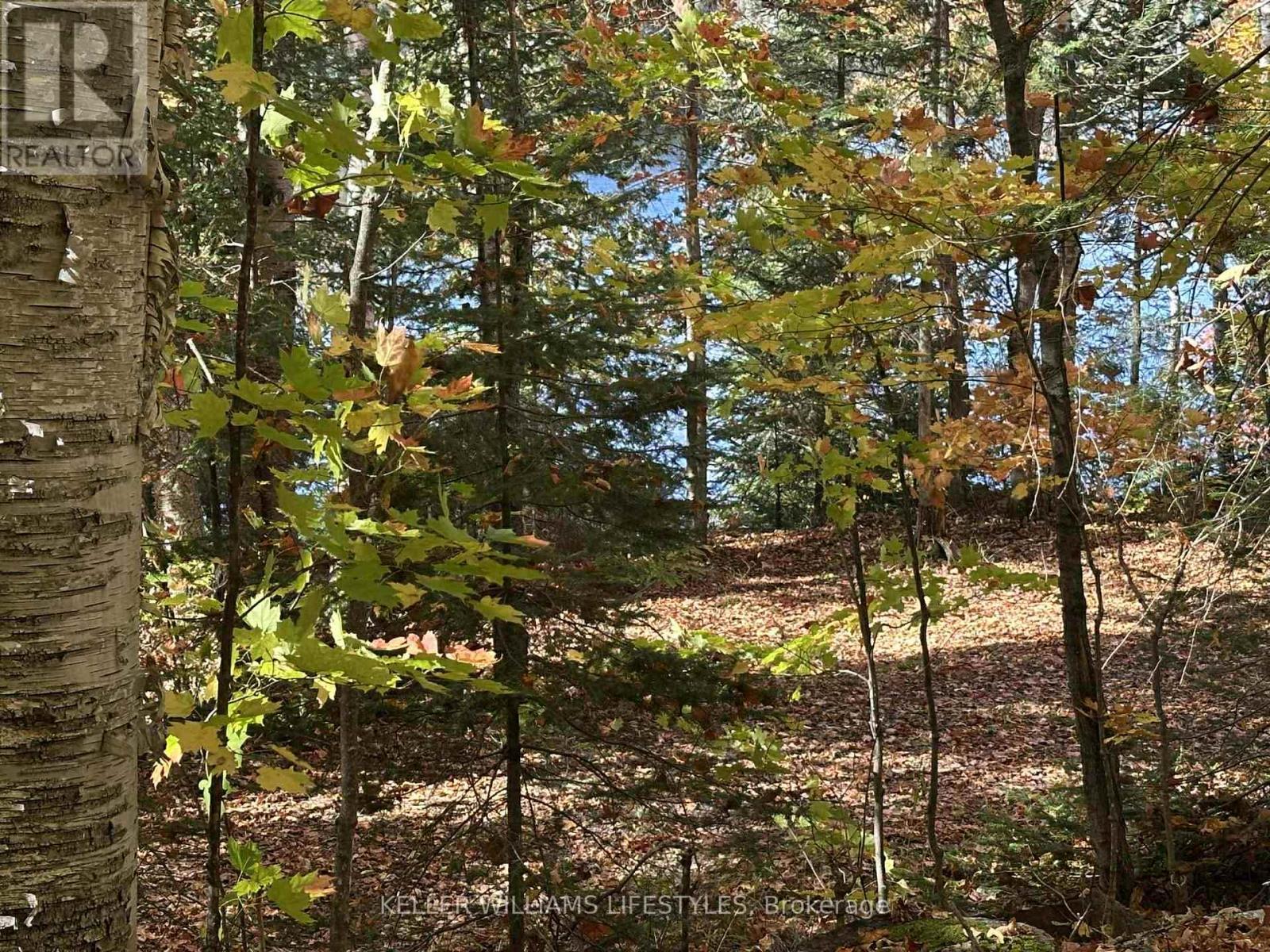 0 Balsam Lane, Nipissing, ON