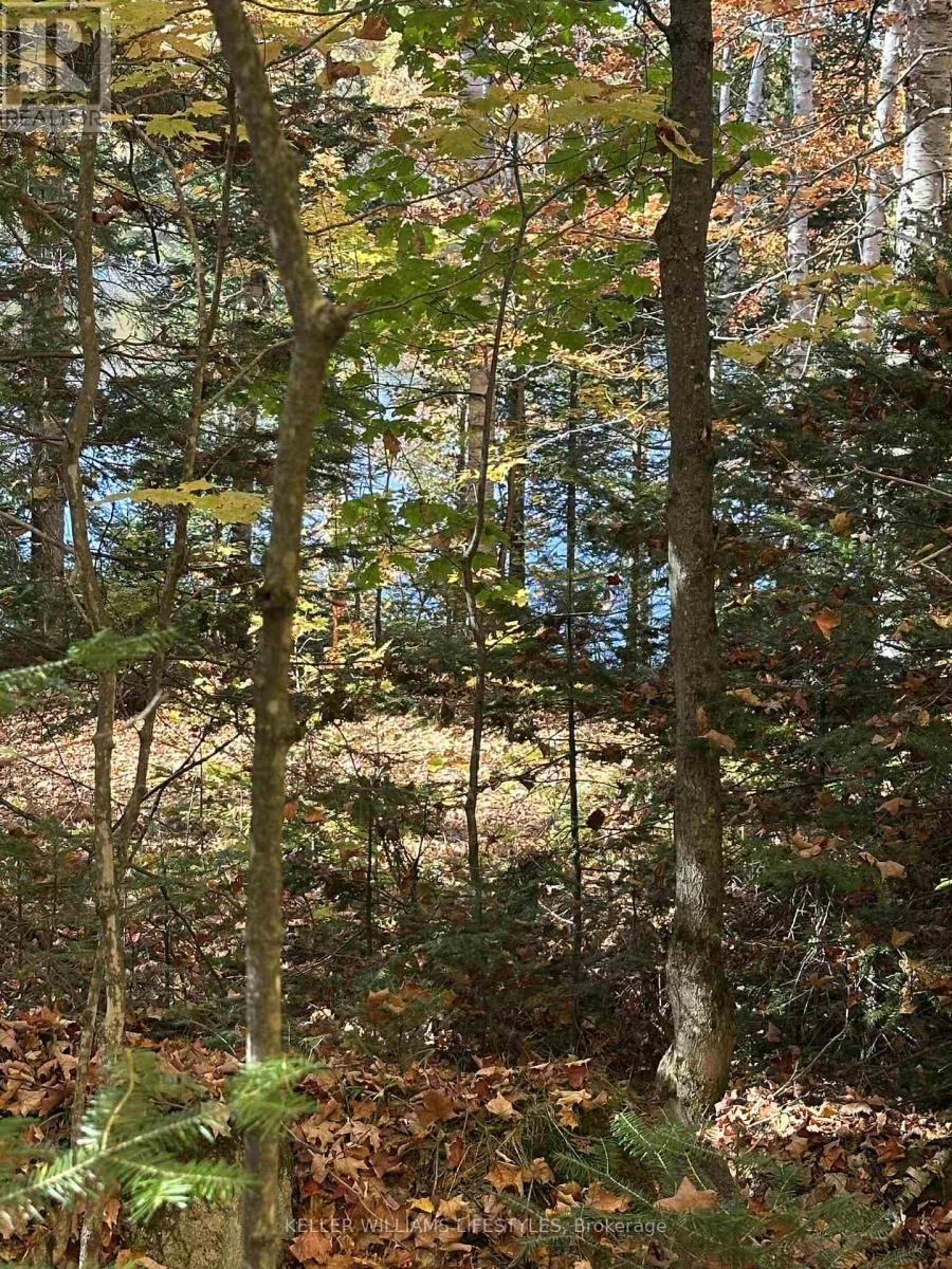 0 Balsam Lane, Nipissing, ON