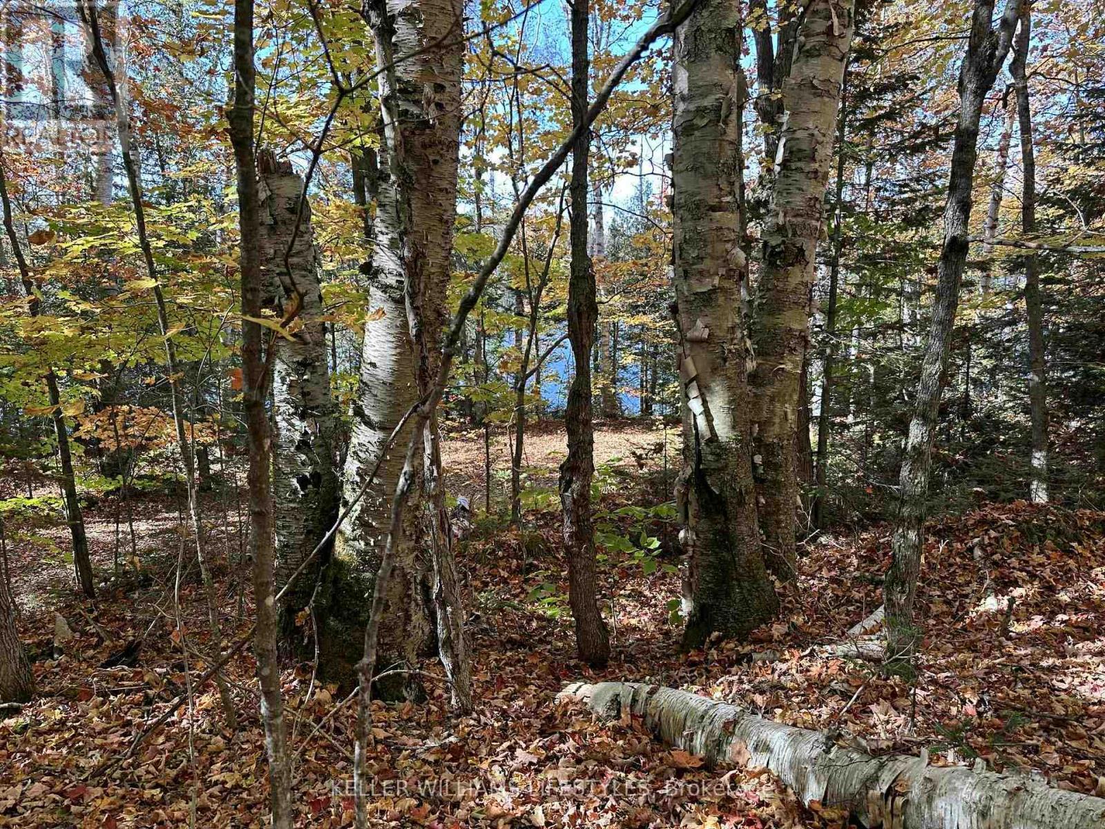 0 Balsam Lane, Nipissing, ON