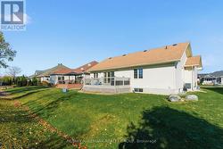 Sunny backyard views -