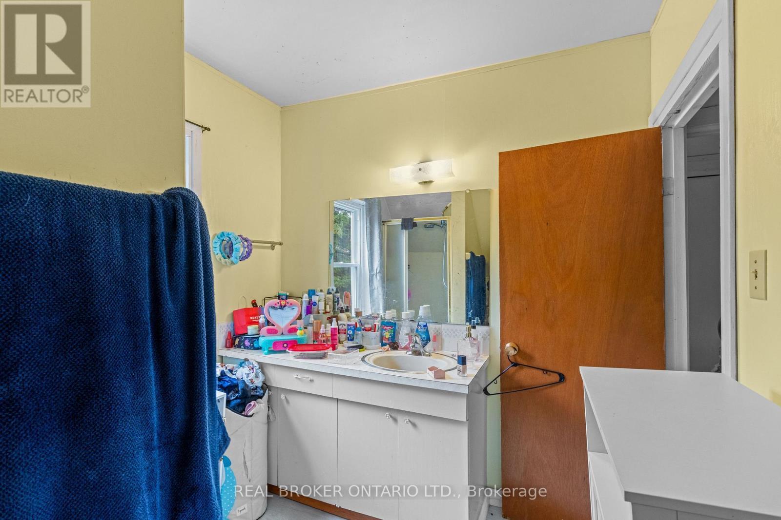 1323 2Nd Avenue W, Owen Sound, ON - Indoor Photo Showing Bathroom