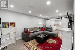 Lower level family room -