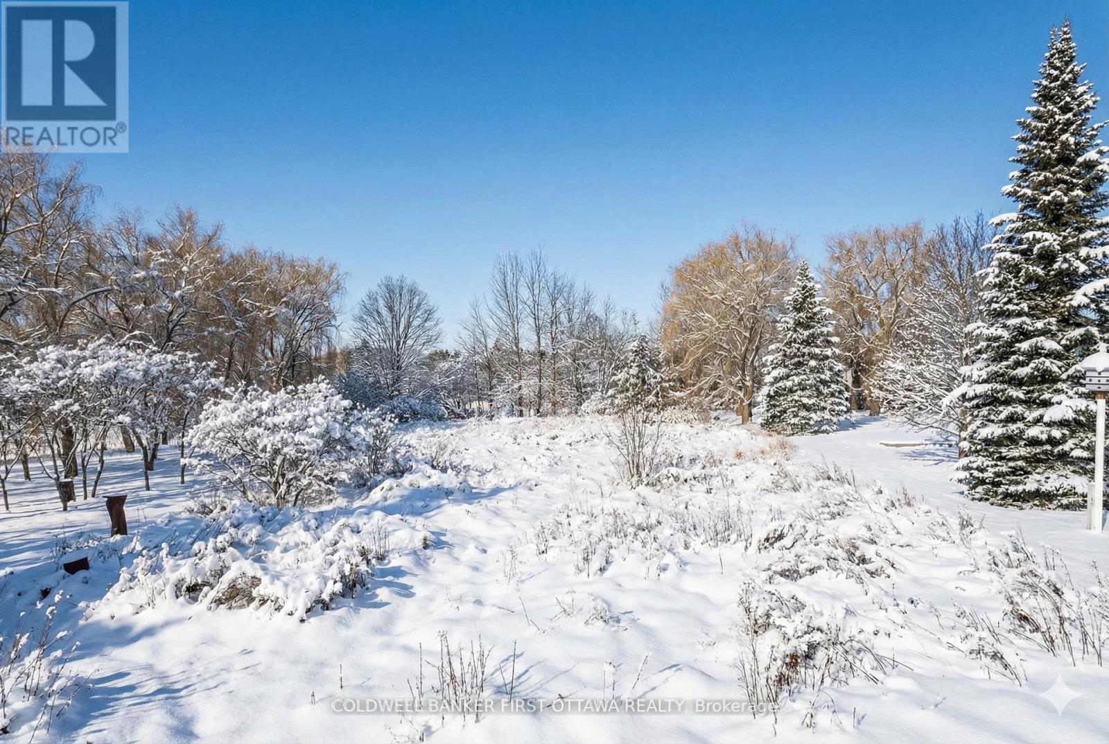 Border of trees for privacy - 00 Drummond Concession 12C Road, Drummond/North Elmsley, ON