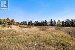 Ready for your custom home -