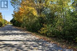 Entrance to property on Twp road-Drummond Con 12C -