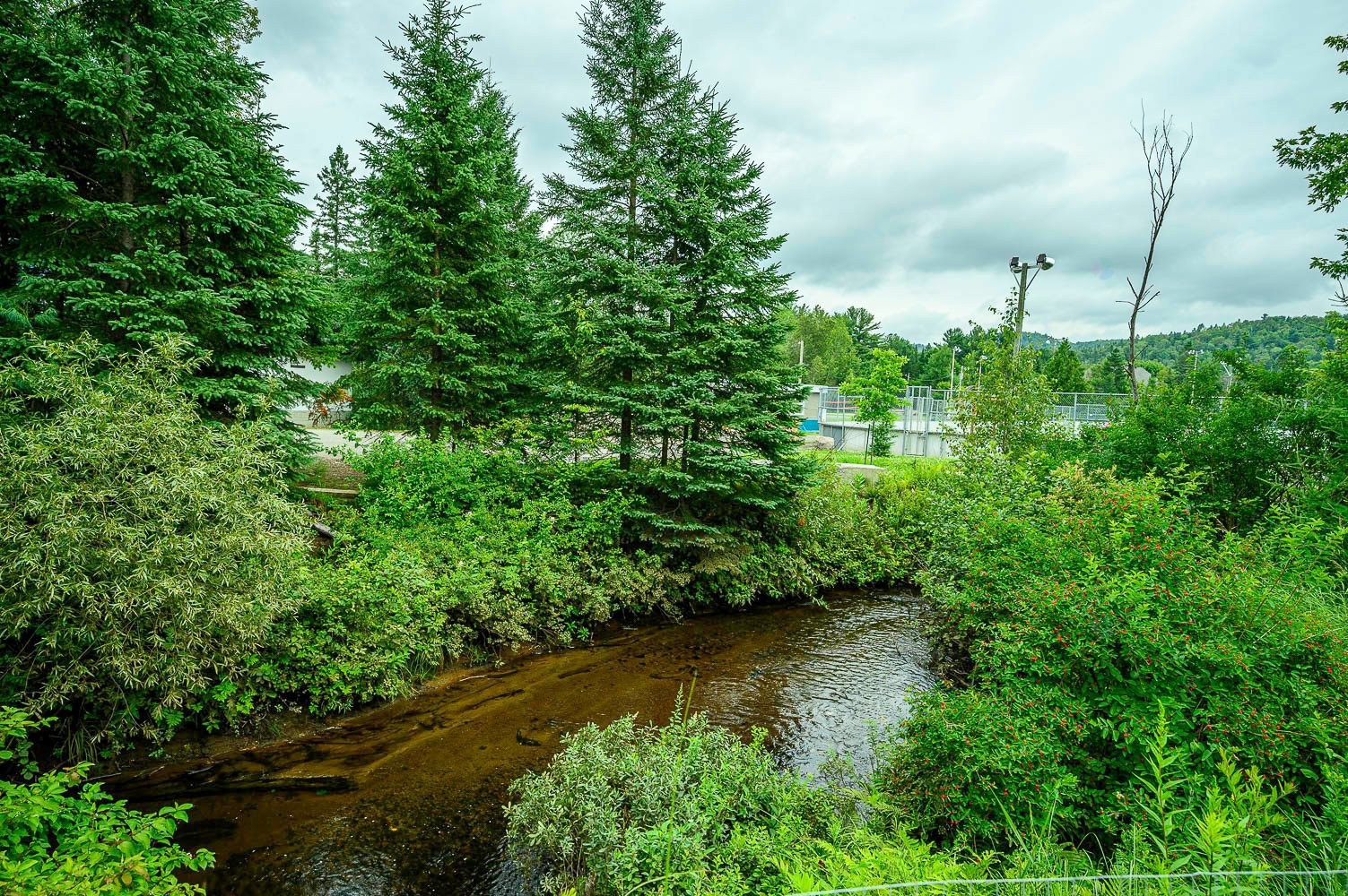Courtyard - 6481 Rue Morin, Val-Morin, QC - Outdoor