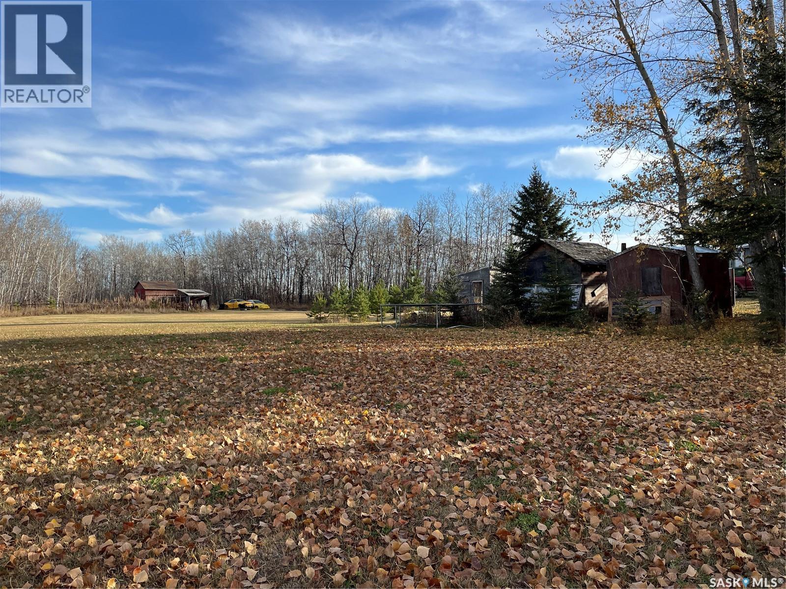 Hwy 11 Acreage, Prince Albert Rm No. 461, SK