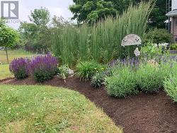 Professionally designed gardens -