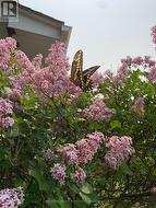 Gardens attractive to all -