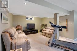 Lower level family room -