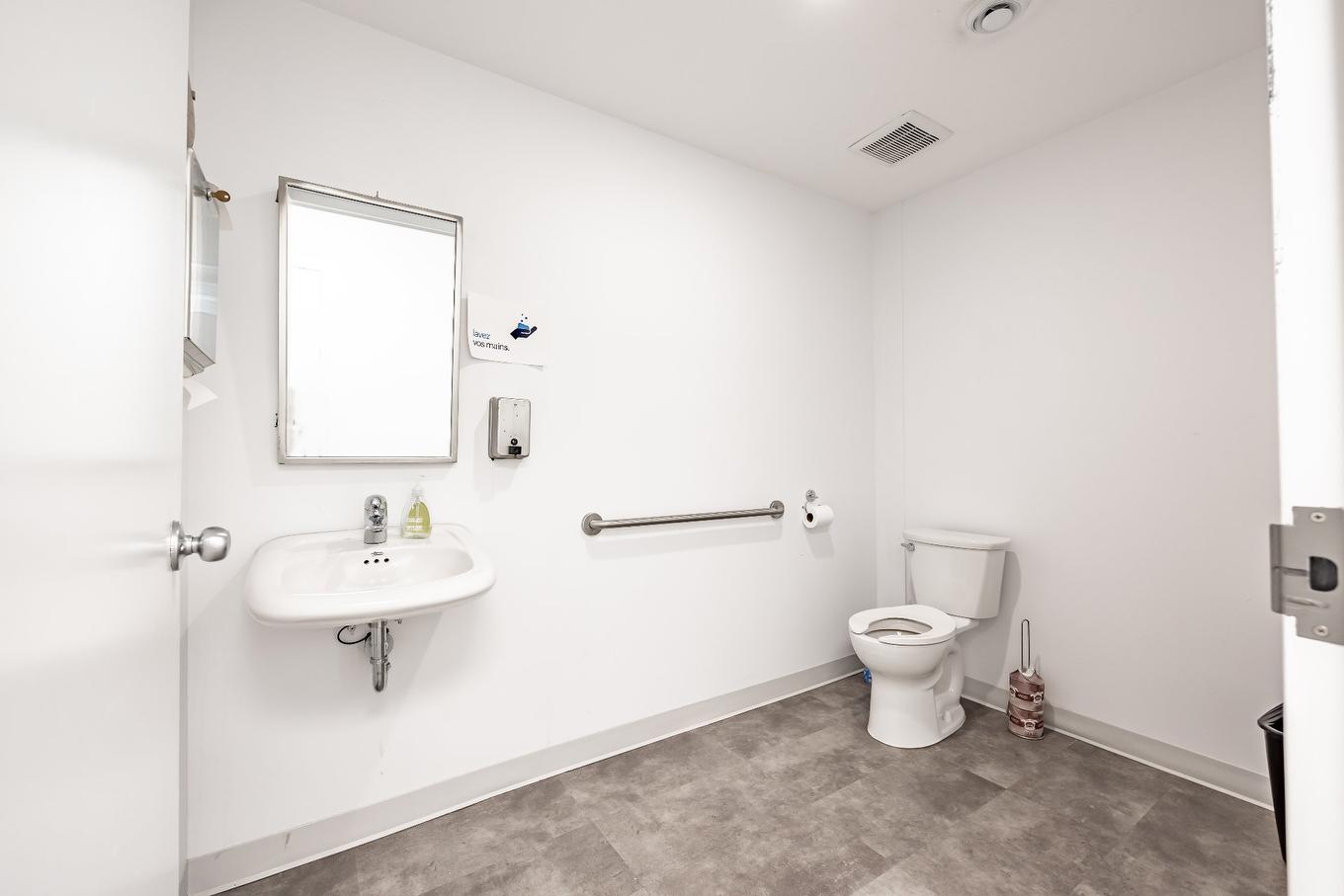 Salle de bains - A-460 Rue St-Charles O., Longueuil (Le Vieux-Longueuil), QC - Indoor Photo Showing Bathroom