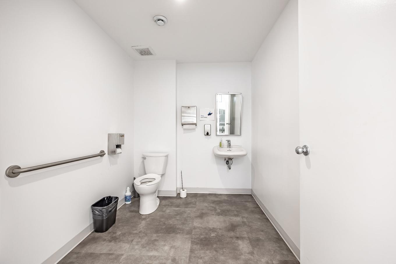 Salle de bains - A-460 Rue St-Charles O., Longueuil (Le Vieux-Longueuil), QC - Indoor Photo Showing Bathroom