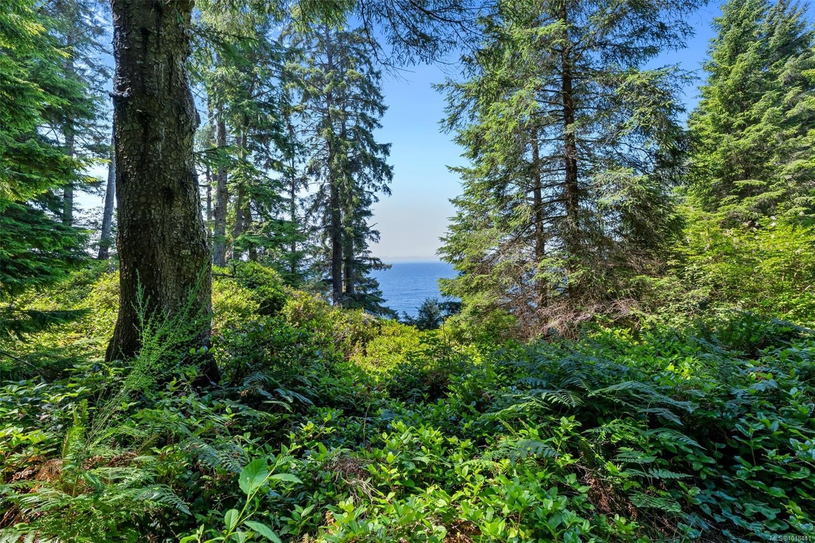 Lot 1 West Coast Rd, Sooke, BC