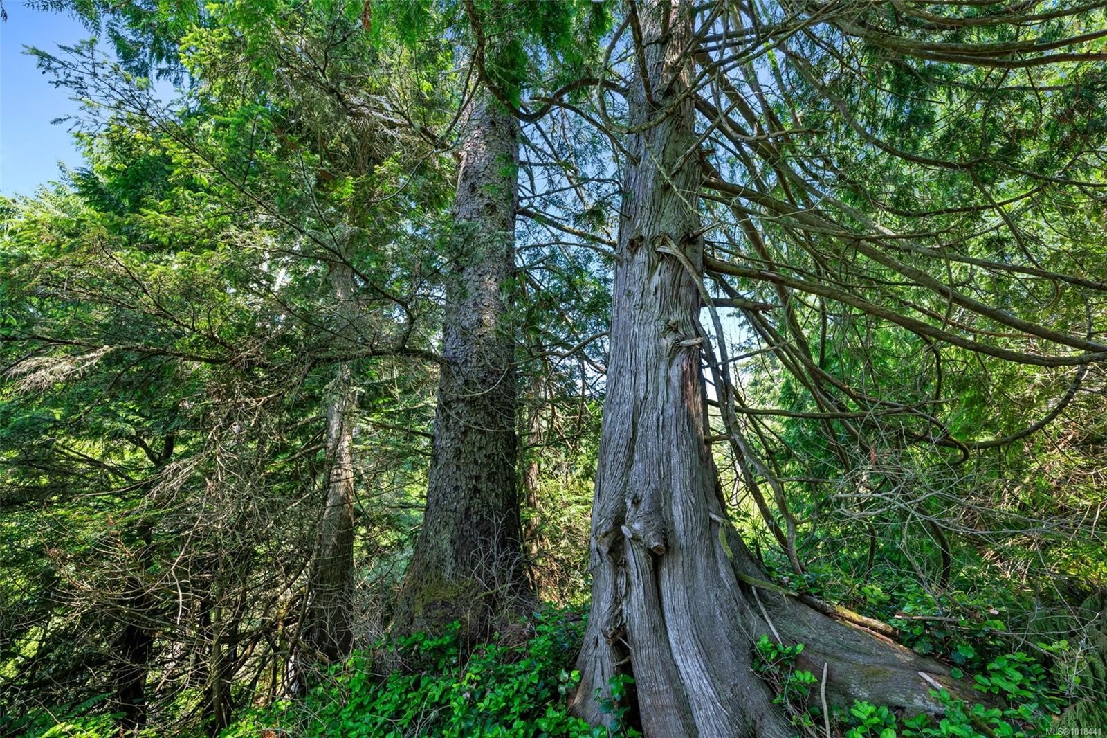 Lot 1 West Coast Rd, Sooke, BC