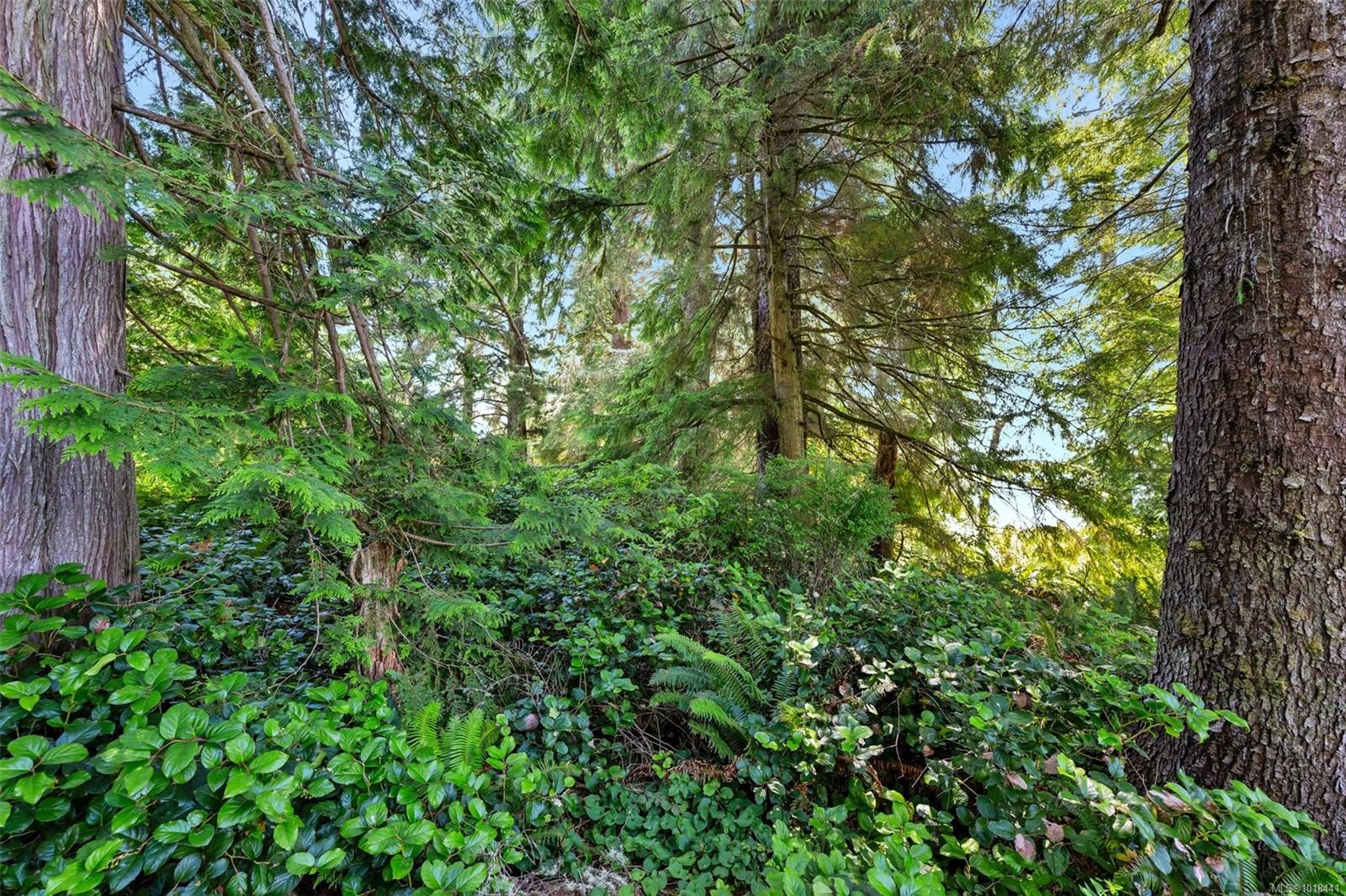 Lot 1 West Coast Rd, Sooke, BC