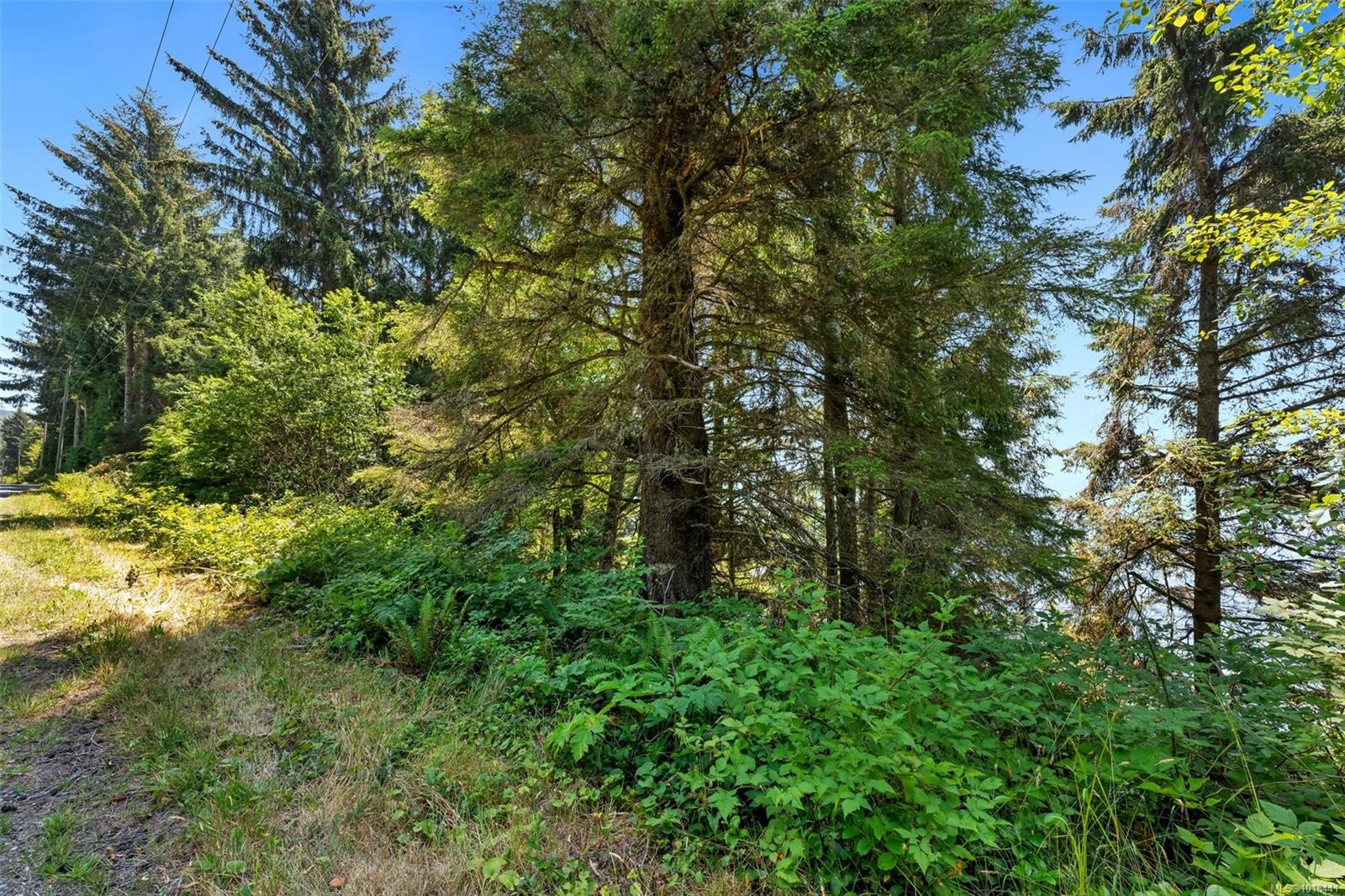 Lot 1 West Coast Rd, Sooke, BC