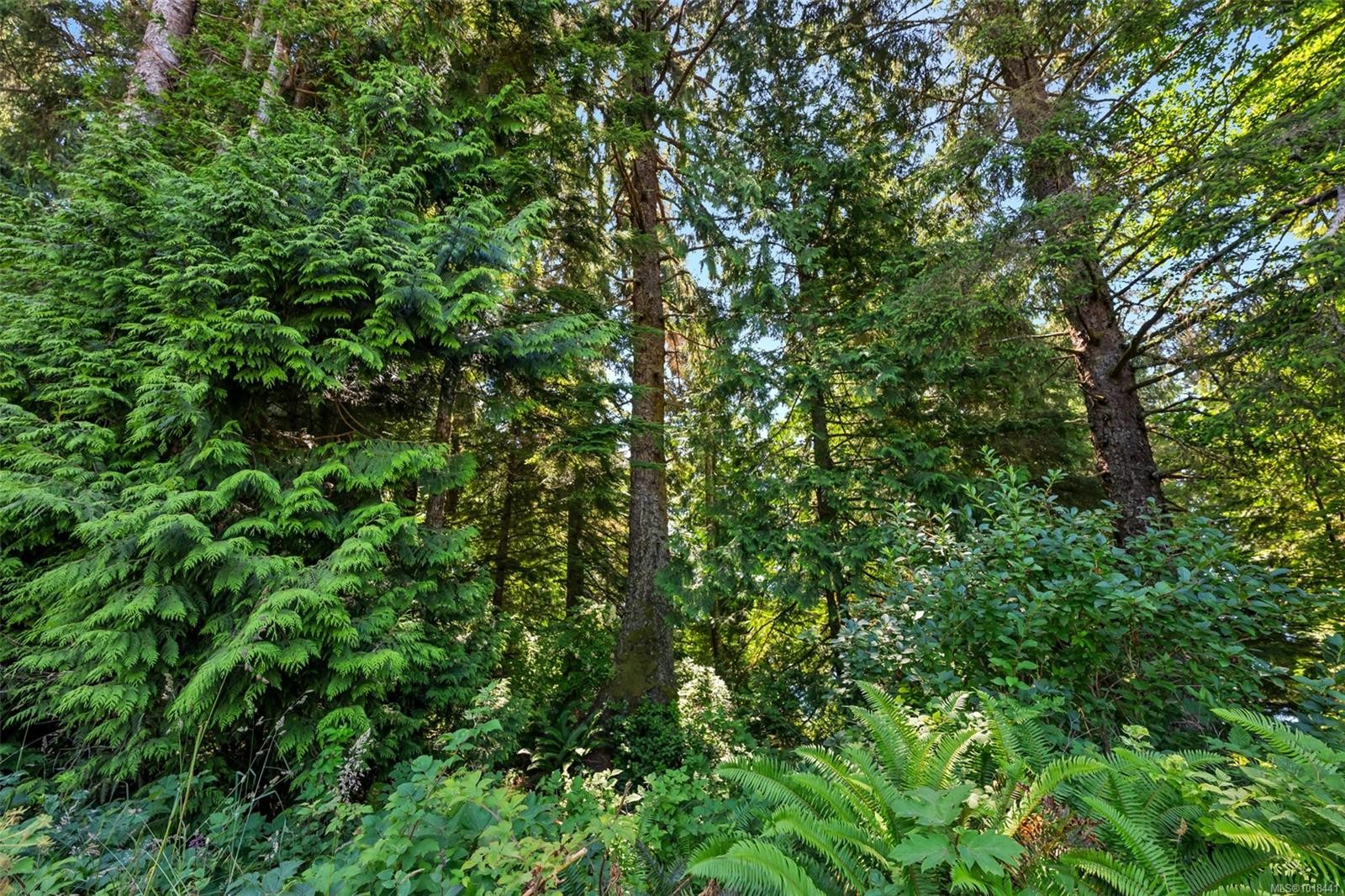 Lot 1 West Coast Rd, Sooke, BC