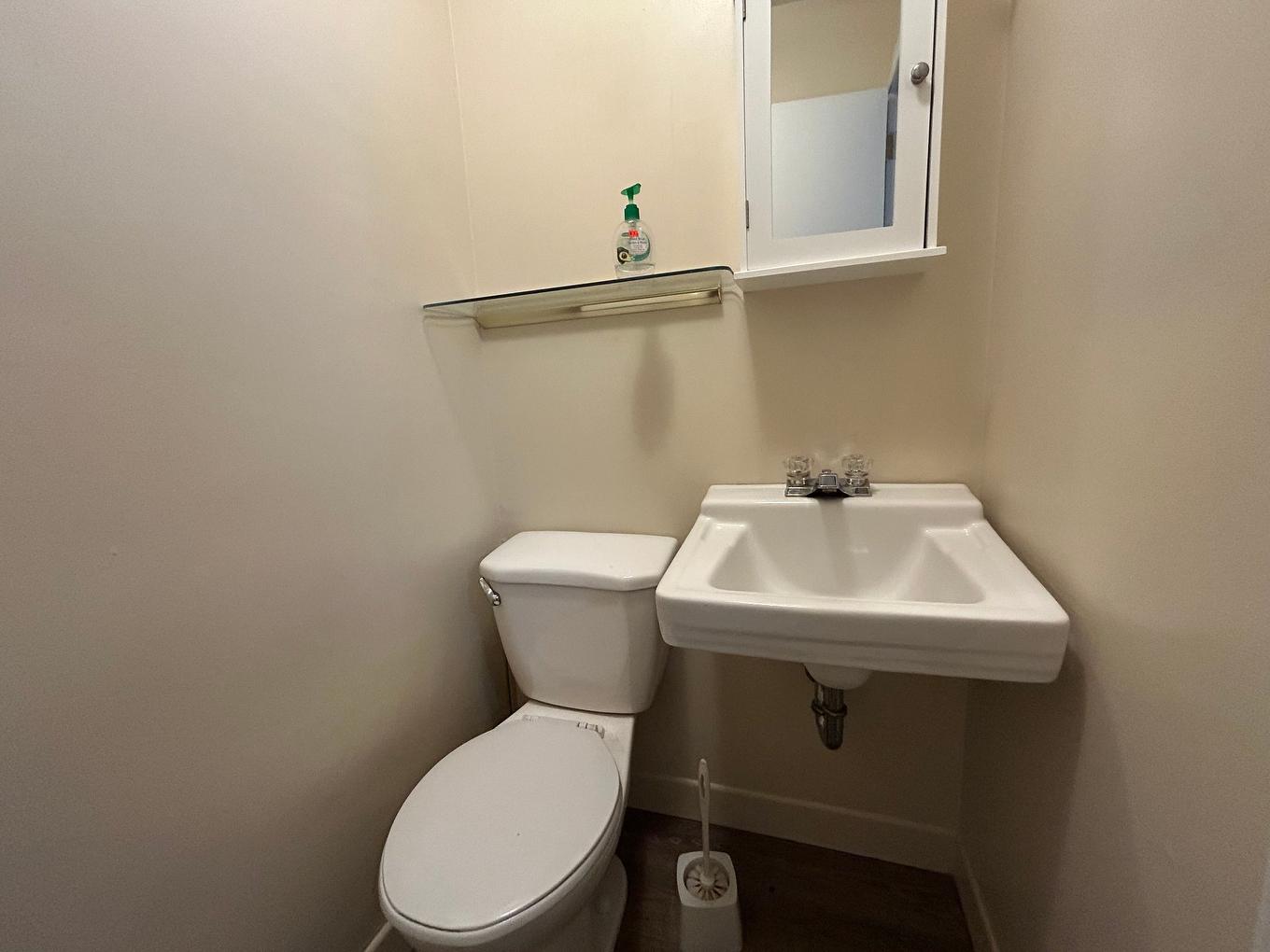 Powder room - 213 Av. Carter, Rouyn-Noranda, QC - Indoor Photo Showing Bathroom