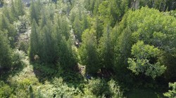 Aerial View -