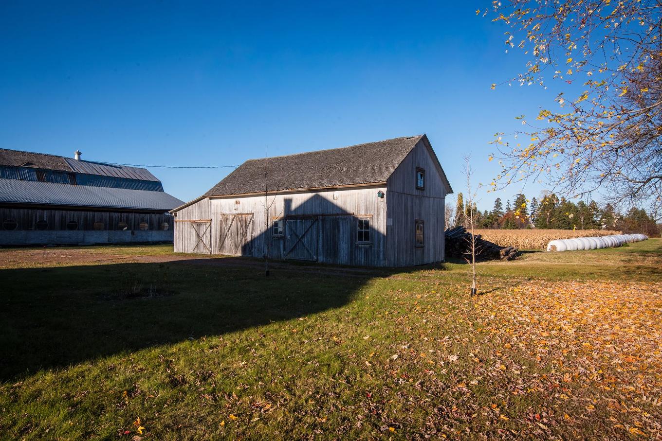 Backyard - 383 Route 230 E., Sainte-Hélène-De-Kamouraska, QC - Outdoor