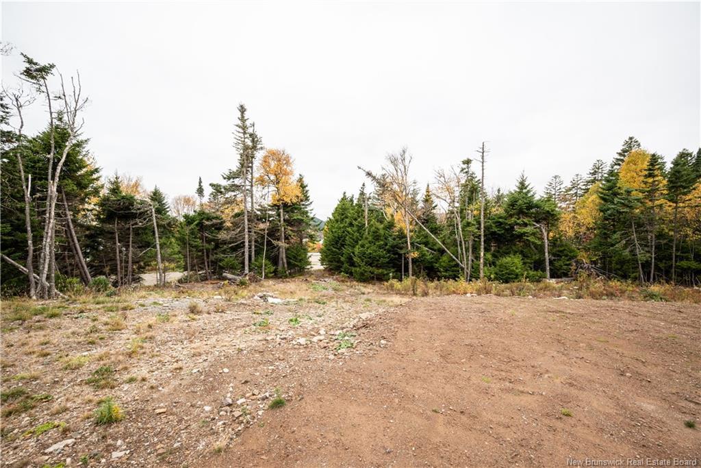 39 Chignecto Dr, Alma, NB