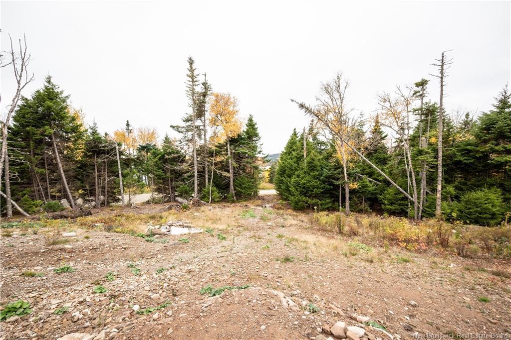 39 Chignecto Dr, Alma, NB