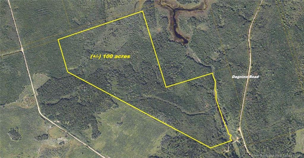 - Dagnino Rd, Snider Mountain, NB