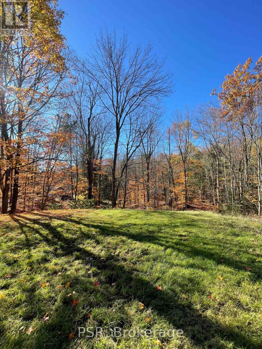 1094 Morinus Road, Muskoka Lakes (Medora), ON - Outdoor With View