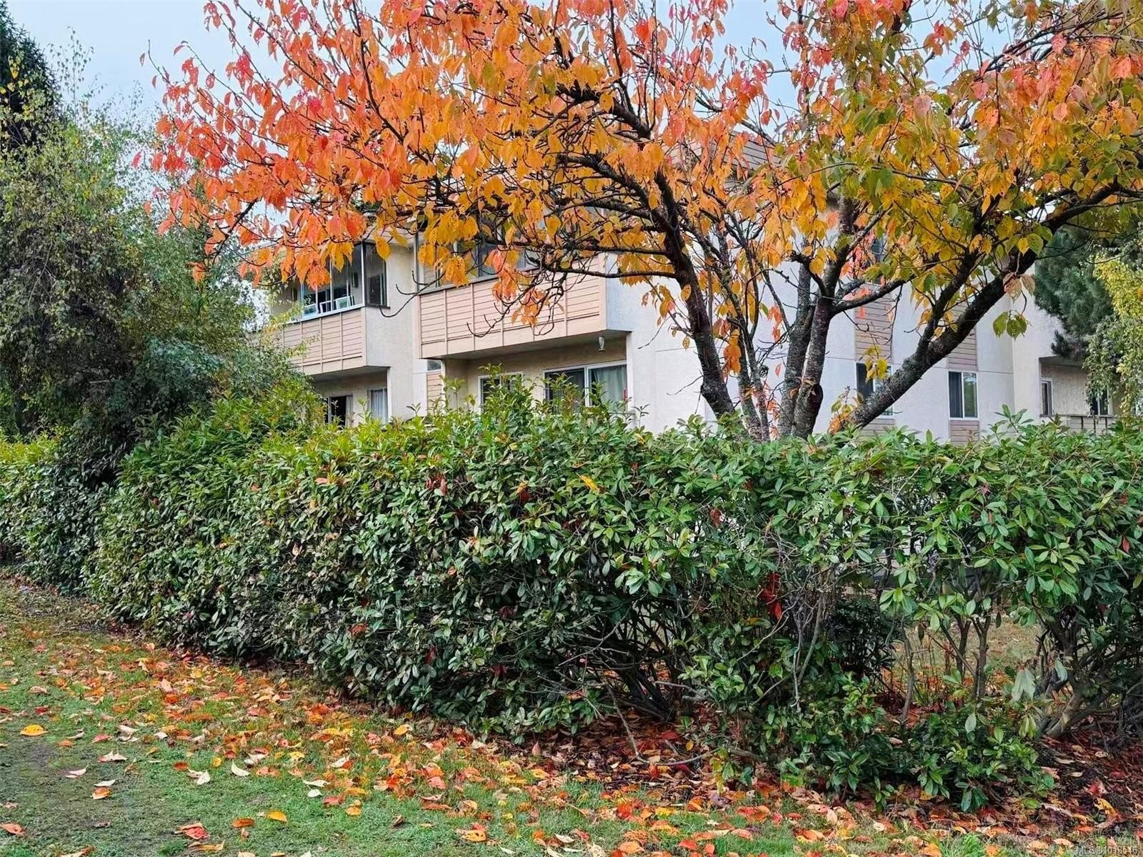 303-1597 Midgard Ave, Saanich, BC - Outdoor