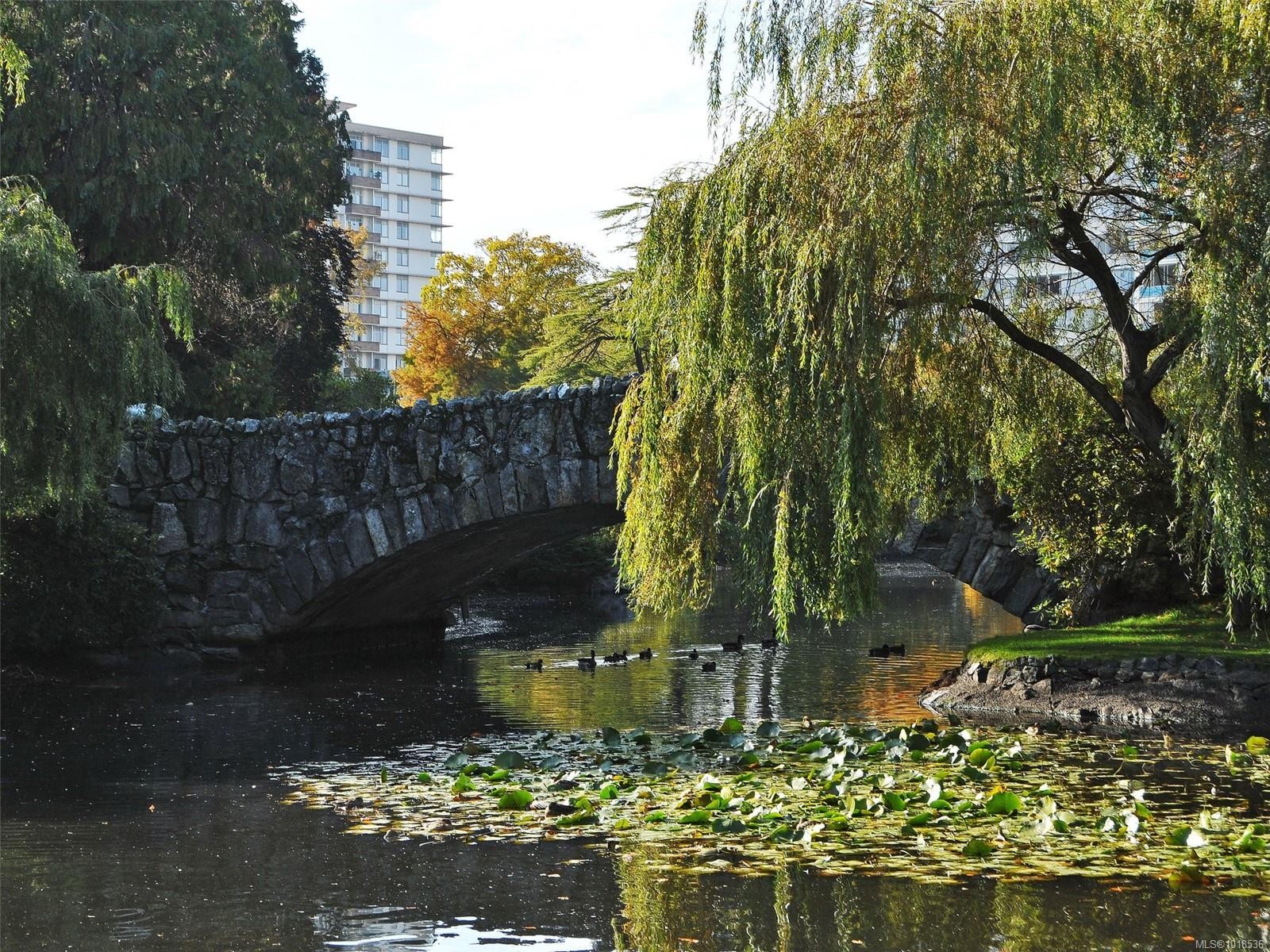 1-1016 Southgate St, Victoria, BC - Outdoor