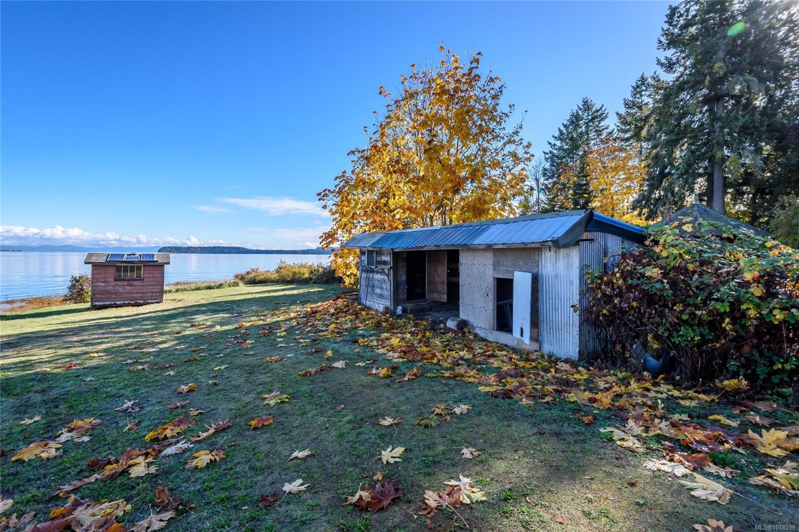 4976 David Rd, Royston, BC
