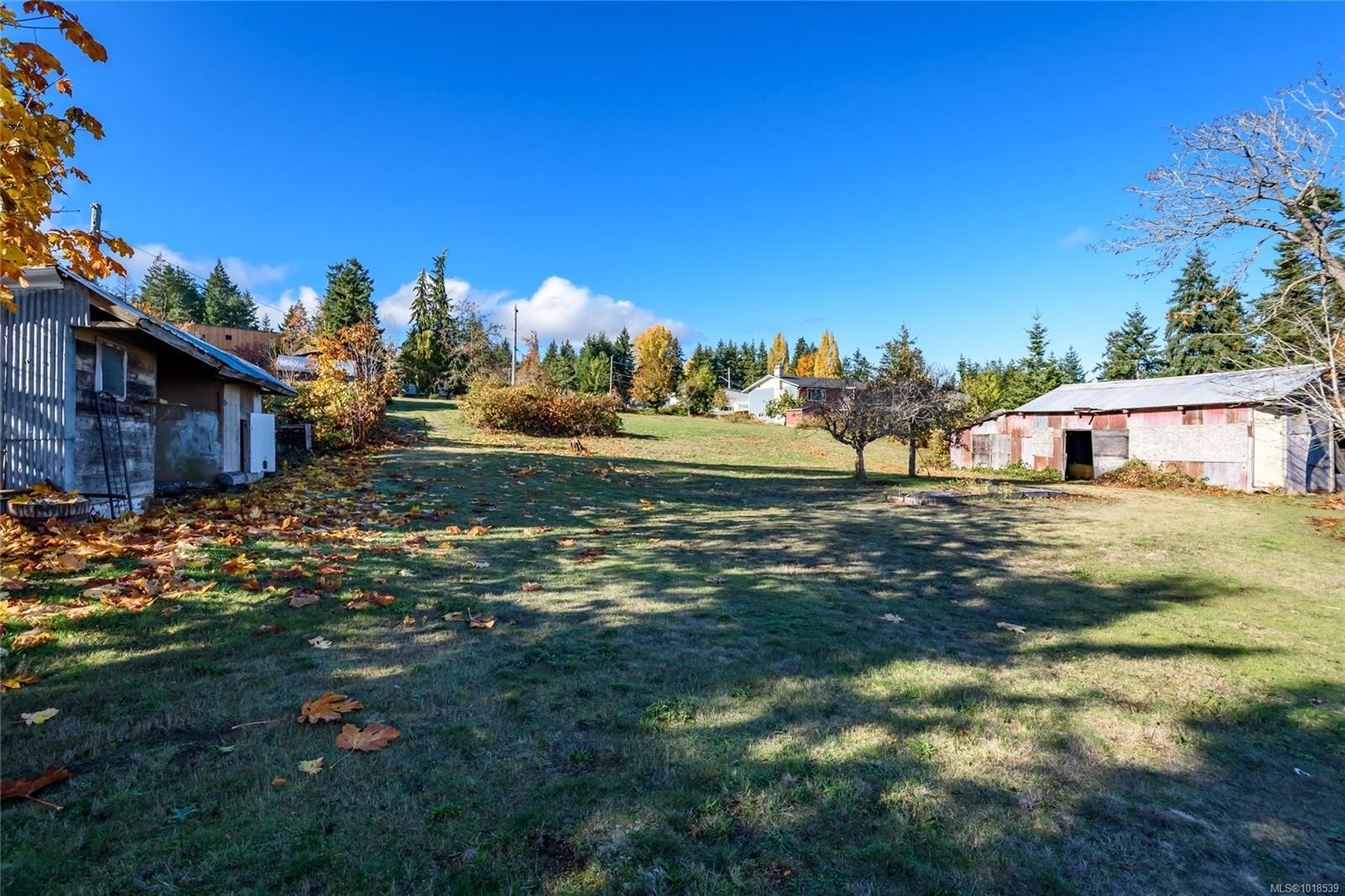 4976 David Rd, Royston, BC