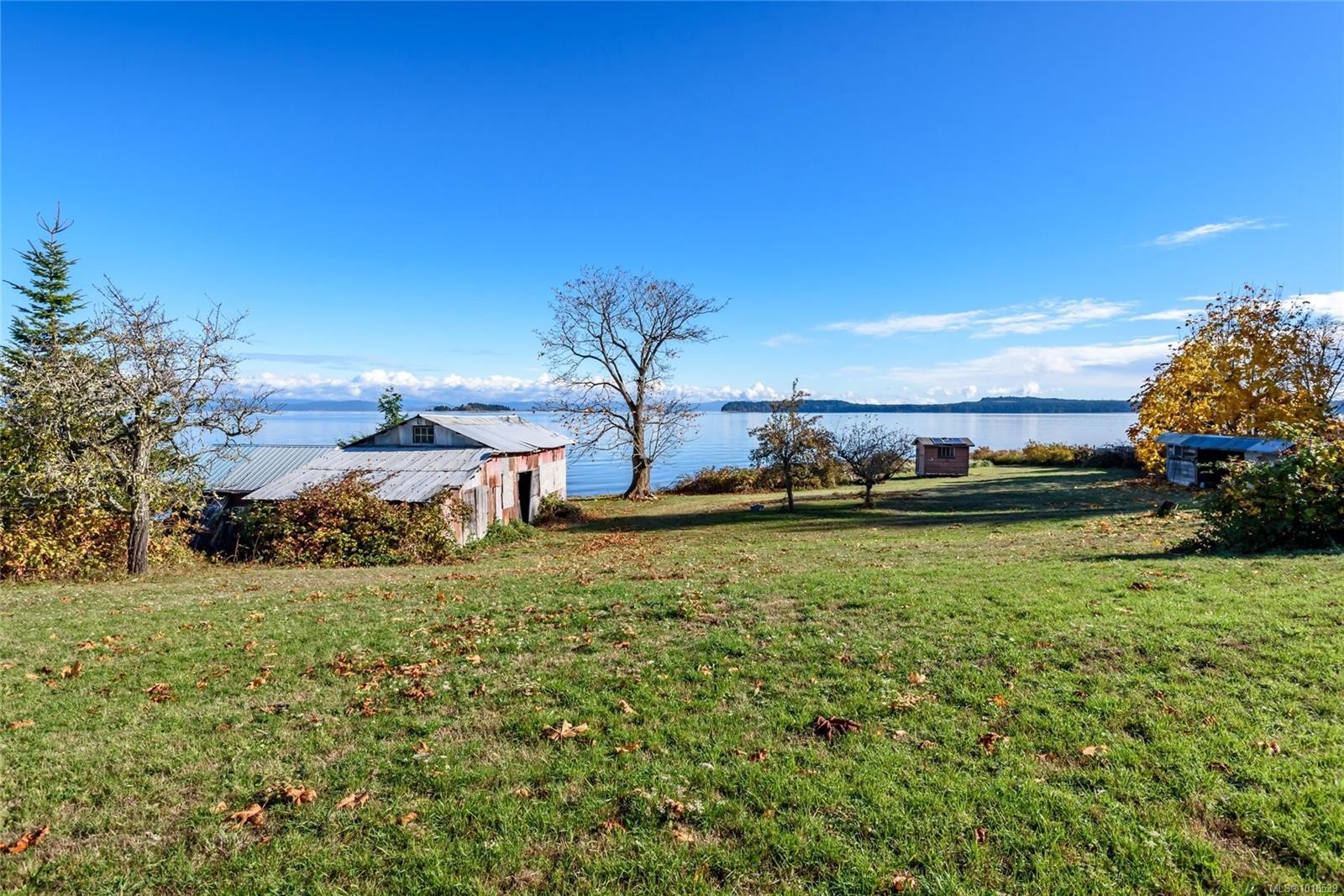 4976 David Rd, Royston, BC