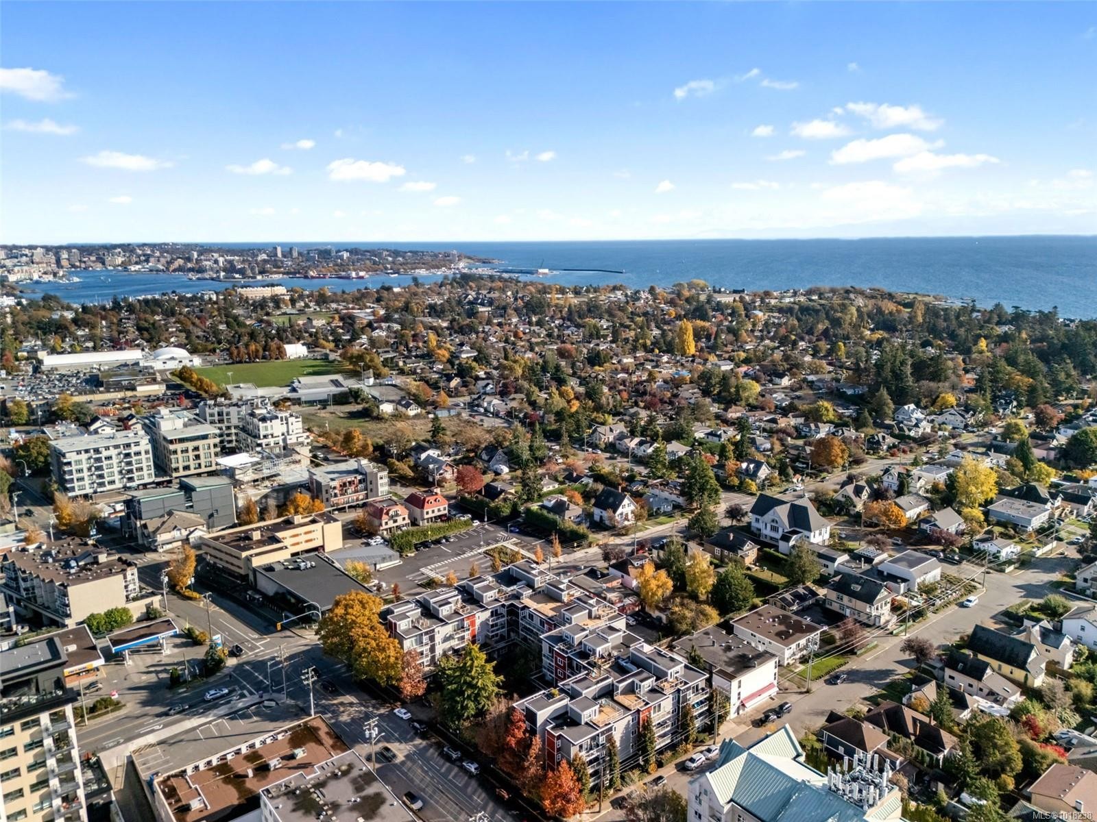 410-1315 Esquimalt Rd, Esquimalt, BC - Outdoor With View