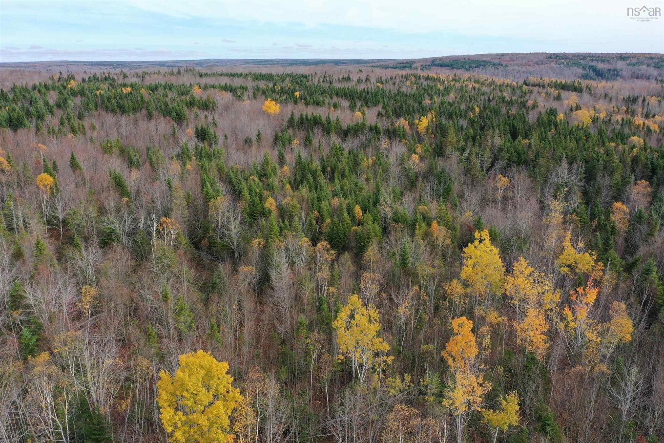 Lot 105 Acres+ Macmillan Road, Willowdale, NS