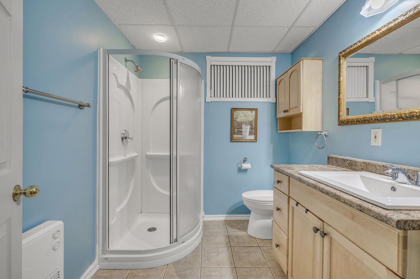 Salle de bains - 25 Rue Grondin, Lévis (Les Chutes-De-La-Chaudière-Ouest), QC - Indoor Photo Showing Bathroom