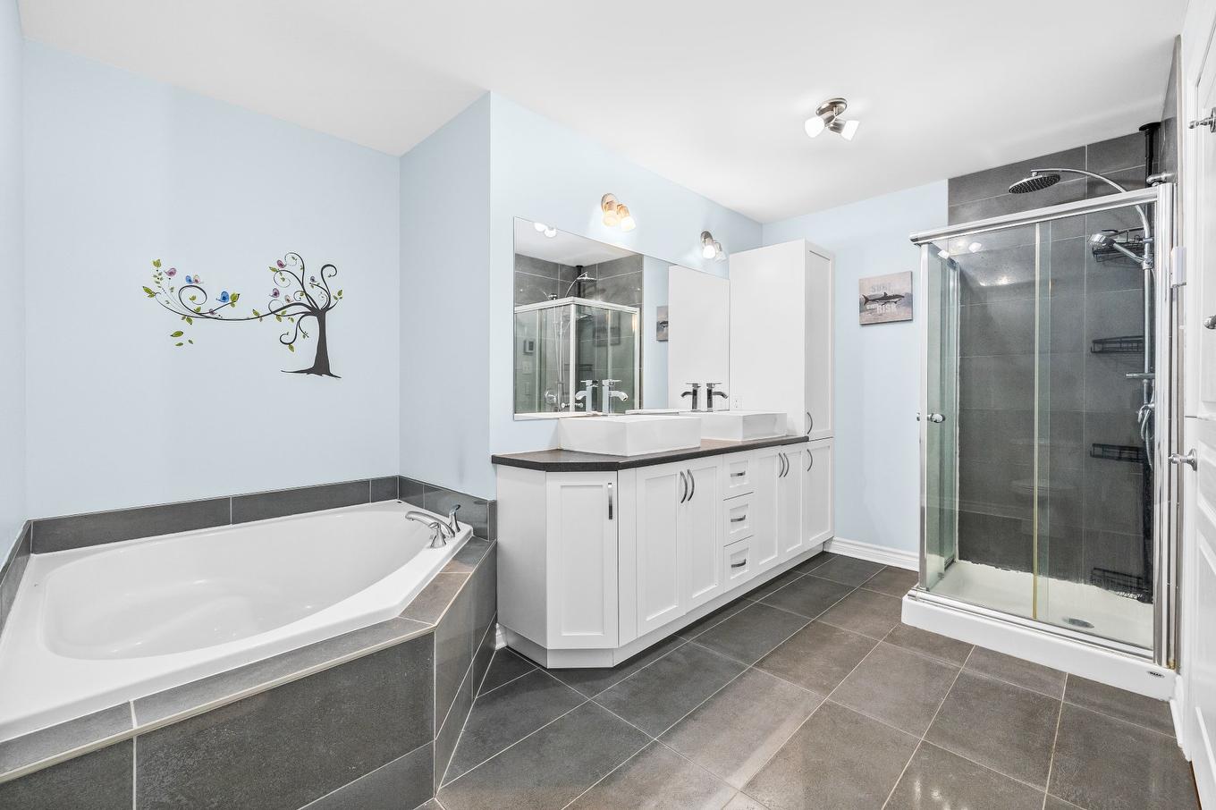 Bathroom - 3-1310 Ch. Du Coteau-Rouge, Longueuil (Le Vieux-Longueuil), QC - Indoor Photo Showing Bathroom