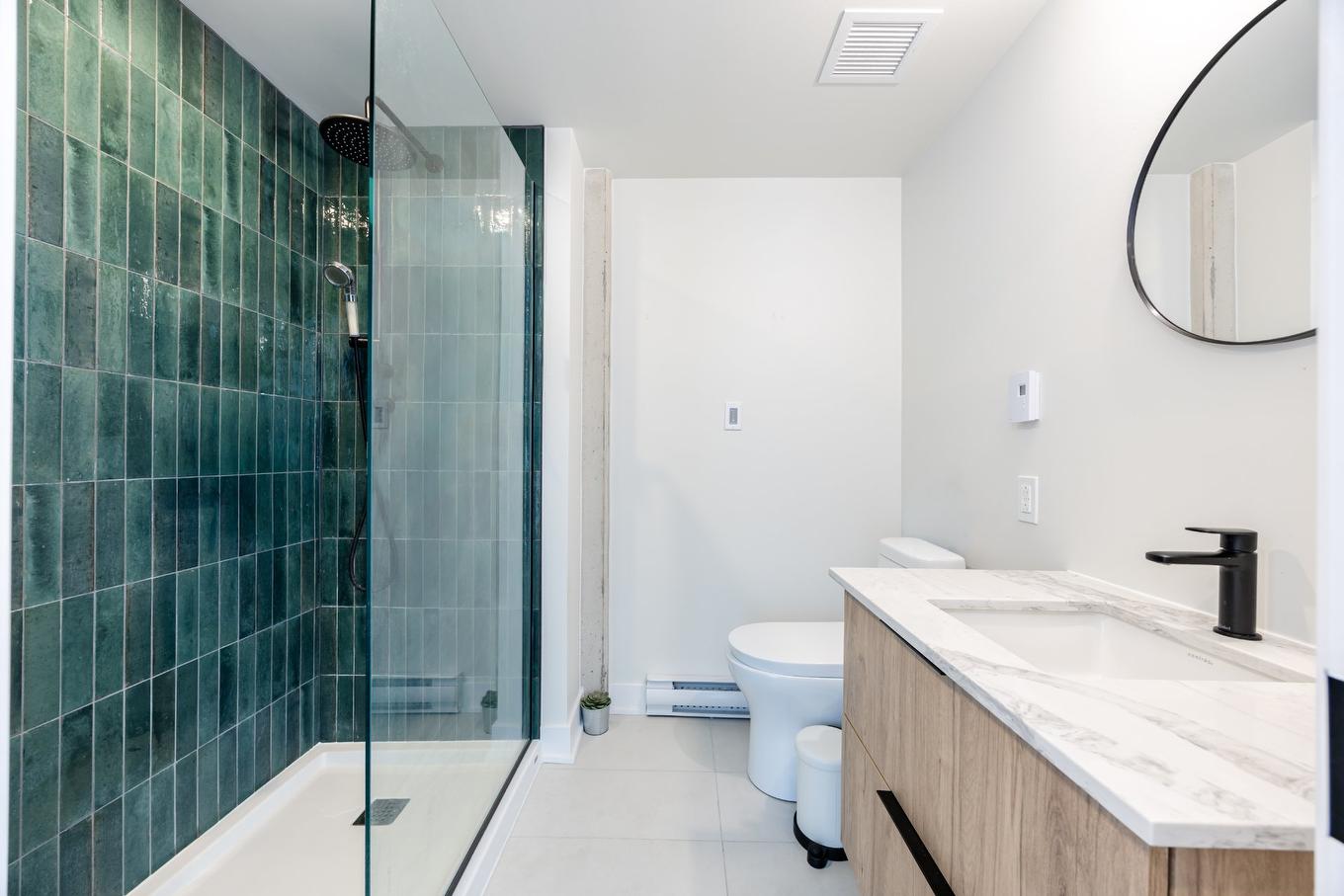 Salle de bains - 1114-5605 Av. Pierre-De Coubertin, Montréal (Mercier/Hochelaga-Maisonneuve), QC - Indoor Photo Showing Bathroom