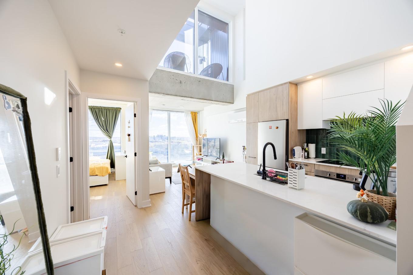 Vue d'ensemble - 1114-5605 Av. Pierre-De Coubertin, Montréal (Mercier/Hochelaga-Maisonneuve), QC - Indoor Photo Showing Kitchen