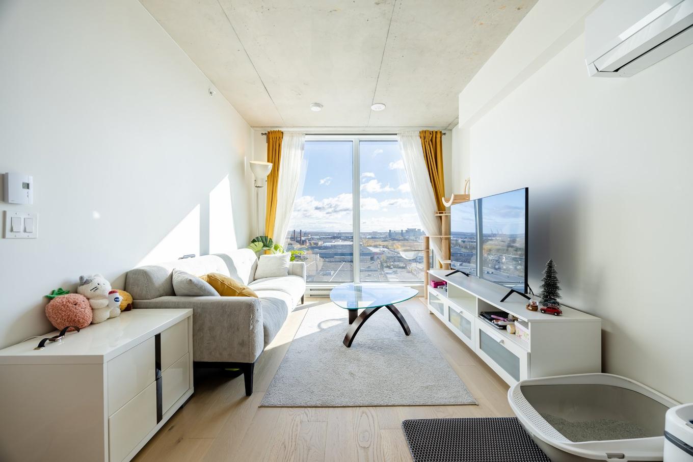 Salon - 1114-5605 Av. Pierre-De Coubertin, Montréal (Mercier/Hochelaga-Maisonneuve), QC - Indoor Photo Showing Living Room