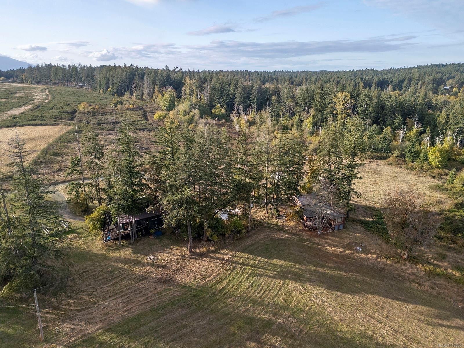 2980 Lofthouse Rd, Cassidy, BC - Outdoor With View