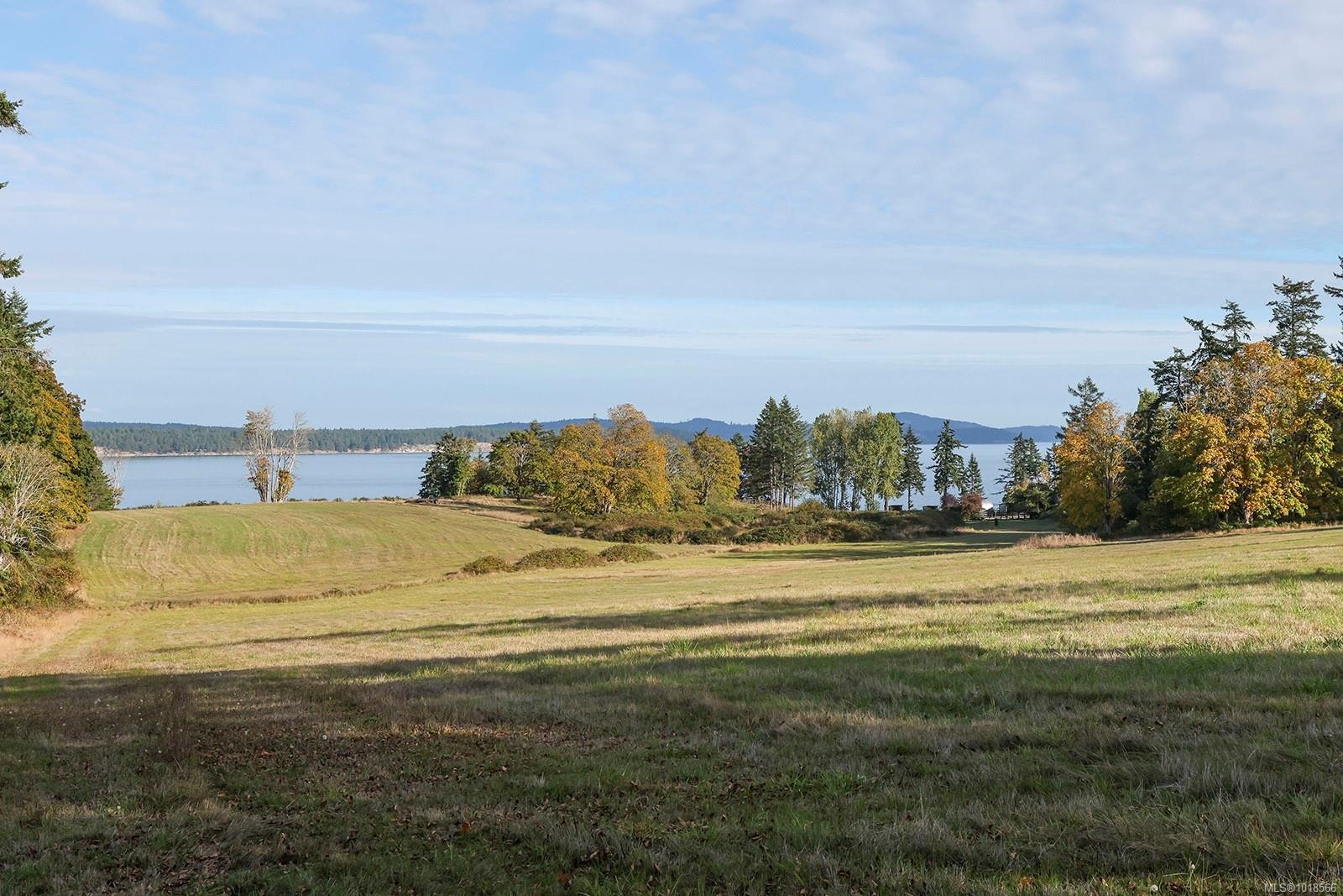 2980 Lofthouse Rd, Cassidy, BC - Outdoor With Body Of Water With View