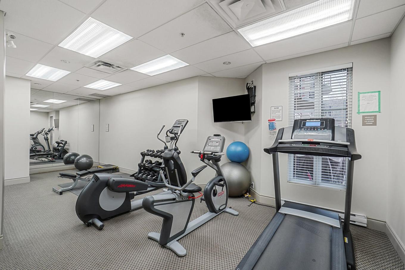 Exercise room - 135-4 Place Des Jardins-Des-Vosges, Montréal (Verdun/Île-Des-Soeurs), QC - Indoor Photo Showing Gym Room
