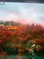 Living Room & Bedroom View -